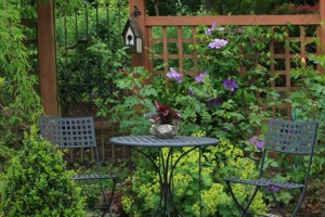 jardineria